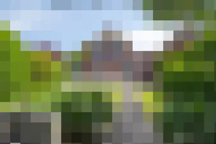 Korenbloem 13 Meppel thumbnail 5