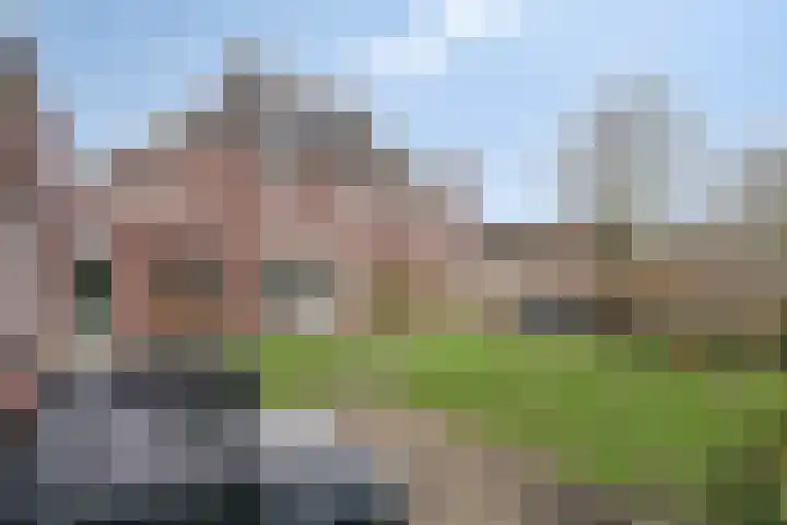 Korenbloem 18 Boekel thumbnail 36