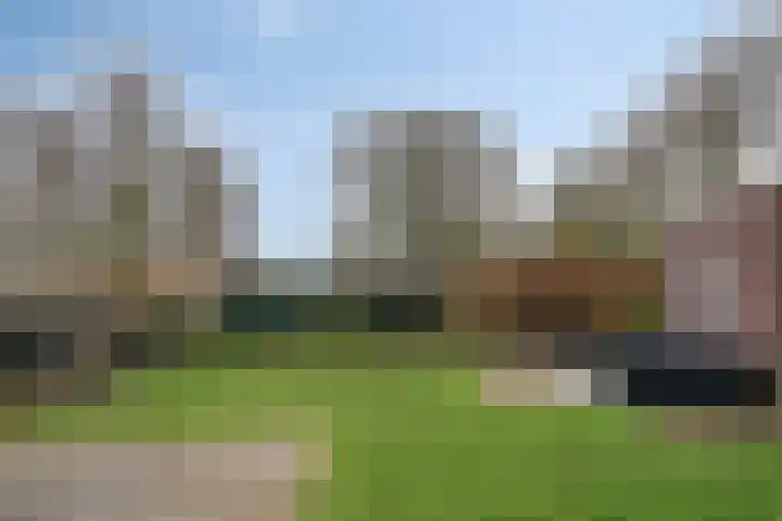 Korenbloem 18 Boekel thumbnail 39