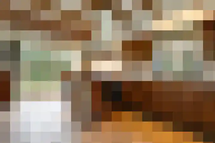 Korenbloem 2 Opmeer thumbnail 14