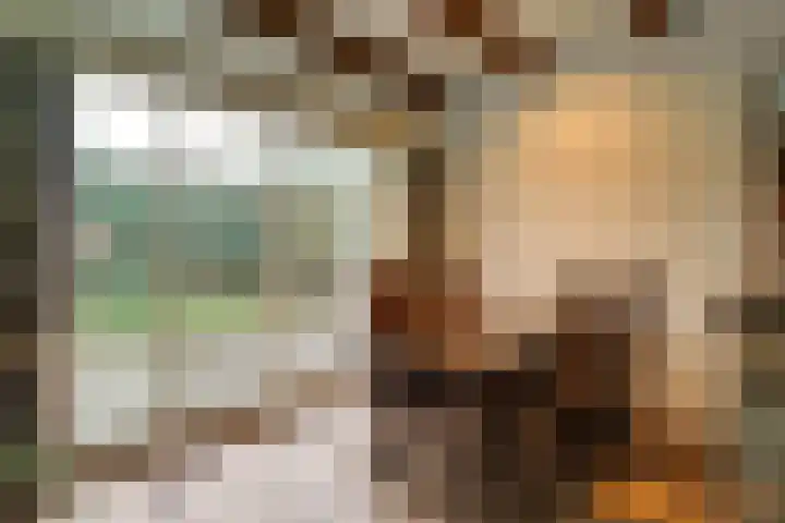 Korenbloem 2 Opmeer thumbnail 16