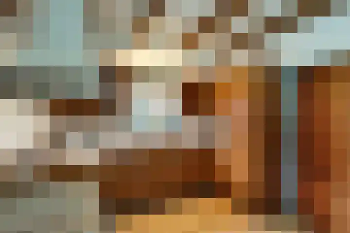 Korenbloem 2 Opmeer thumbnail 18