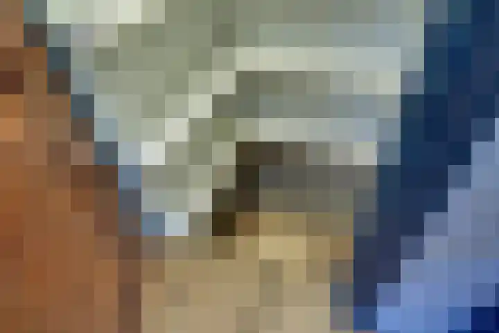 Korenbloem 2 Opmeer thumbnail 20