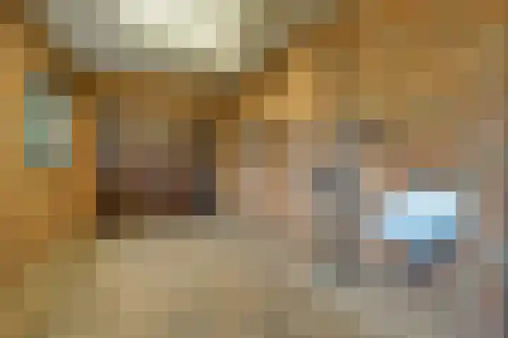 Korenbloem 2 Opmeer thumbnail 24