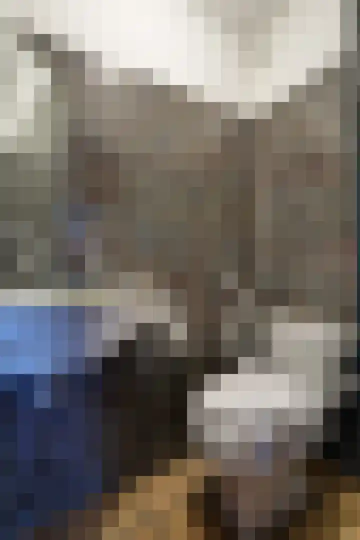 Korenbloem 2 Opmeer thumbnail 26