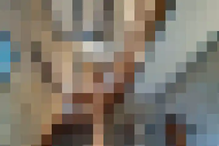 Korenbloem 2 Opmeer thumbnail 27