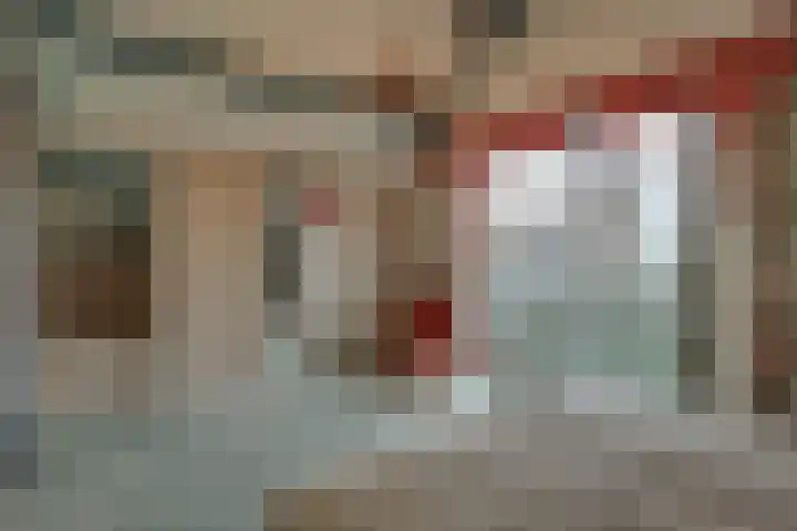 Korenbloem 2 Opmeer thumbnail 34