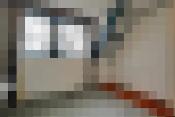 Korenbloem 2 Opmeer thumbnail 40
