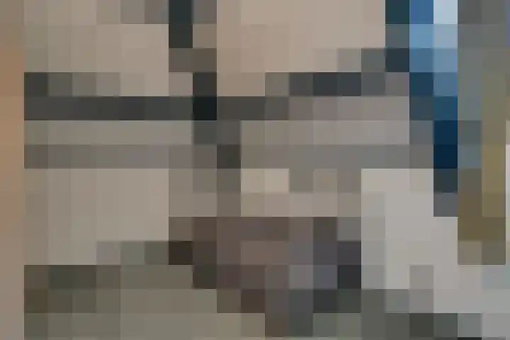 Korenbloem 2 Opmeer thumbnail 43