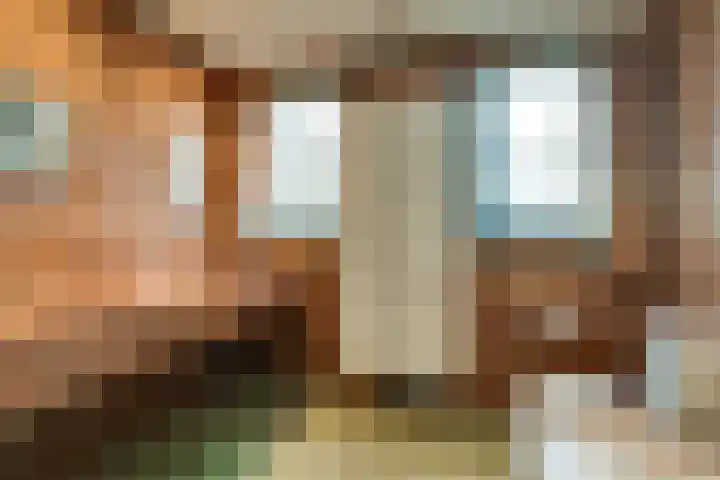 Korenbloem 2 Opmeer thumbnail 47