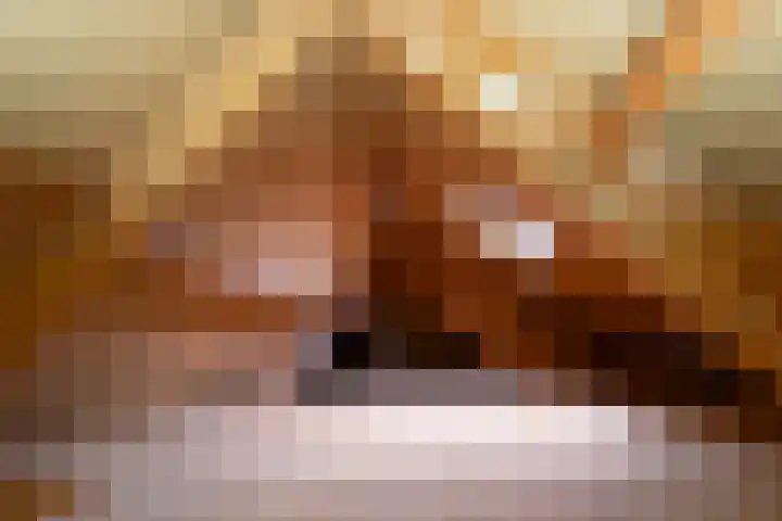 Korenbloem 2 Opmeer thumbnail 53
