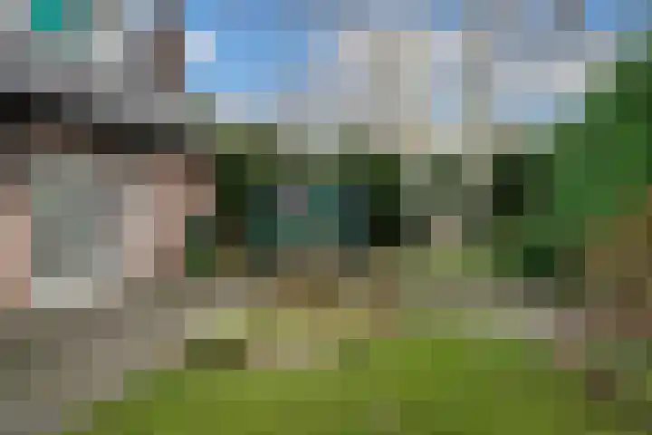 Korenbloem 2 Opmeer thumbnail 56