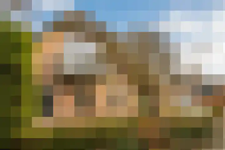 Korenbloem 2 Opmeer thumbnail 58