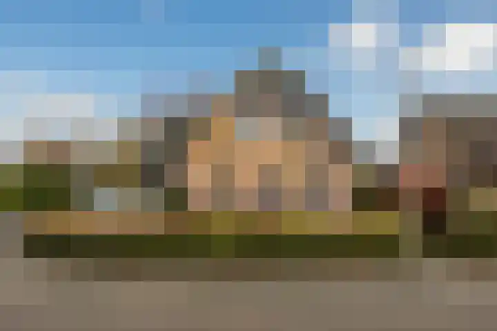 Korenbloem 2 Opmeer thumbnail 59