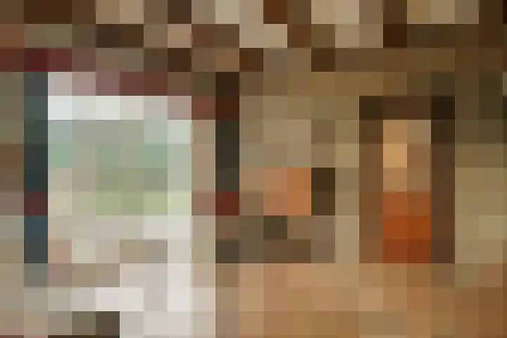 Korenbloem 2 Opmeer thumbnail 9