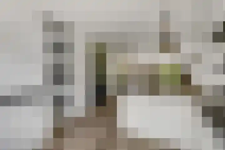Korenbloem 26 Galder thumbnail 14