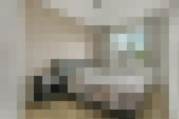 Korenbloem 26 Galder thumbnail 18