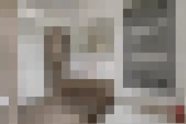 Korenbloem 26 Galder thumbnail 19