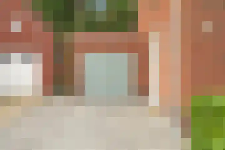 Korenbloem 26 Galder thumbnail 26
