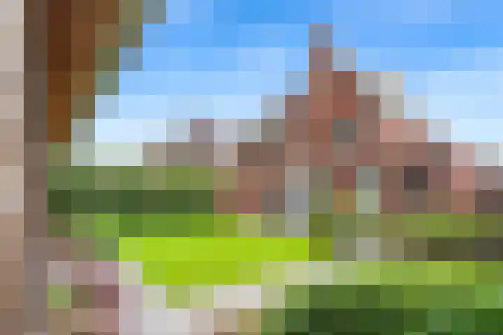 Korenbloem 26 Galder thumbnail 29