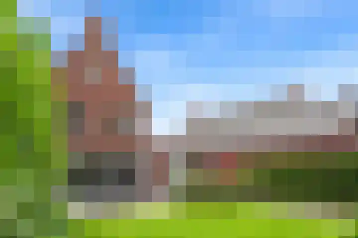 Korenbloem 26 Galder thumbnail 30