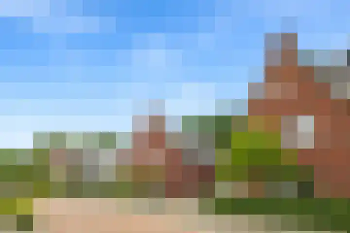 Korenbloem 26 Galder thumbnail 34