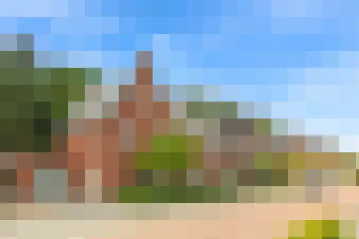 Korenbloem 26 Galder thumbnail 35