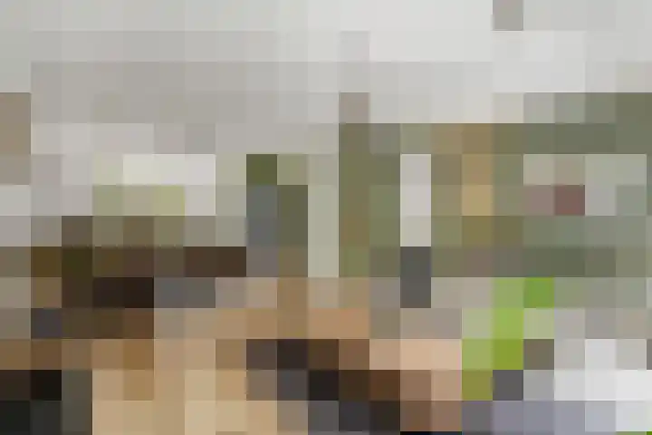Korenbloem 26 Galder thumbnail 9