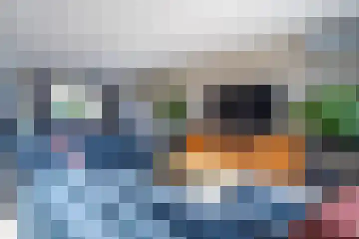 Korenbloem 65 Duiven thumbnail 13