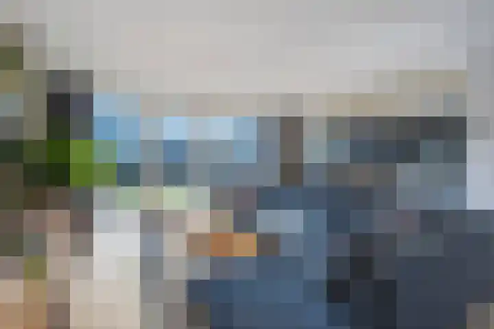 Korenbloem 65 Duiven thumbnail 14