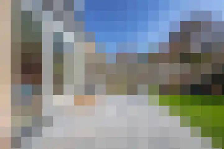 Korenbloem 65 Duiven thumbnail 20