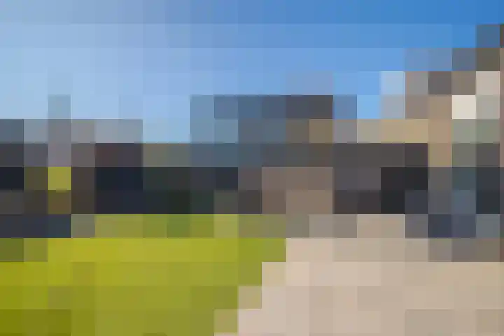 Korenbloem 65 Duiven thumbnail 21