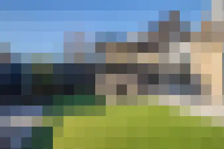 Korenbloem 65 Duiven thumbnail 24
