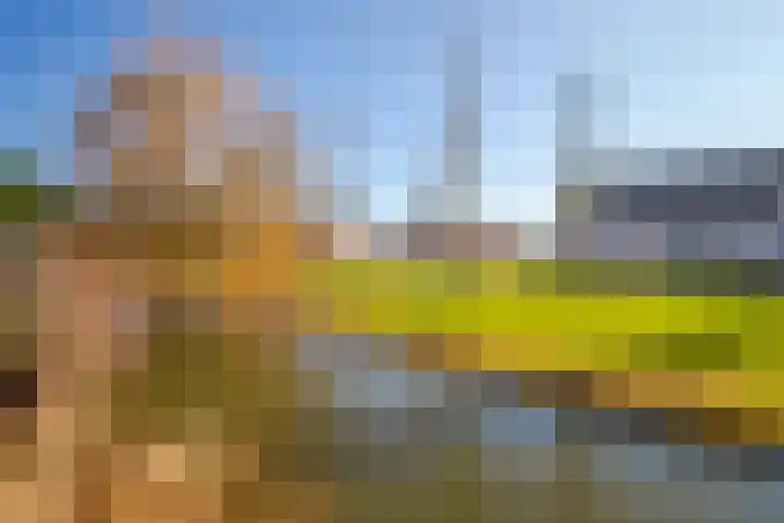 Korenbloem 65 Duiven thumbnail 25