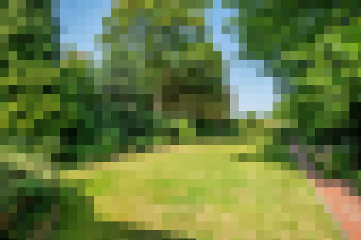 Korenbloem 65 Duiven thumbnail 27