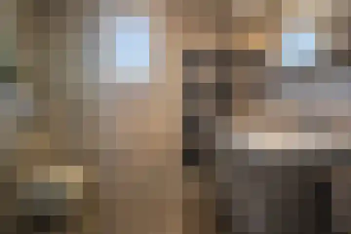 Korenbloem 65 Duiven thumbnail 31