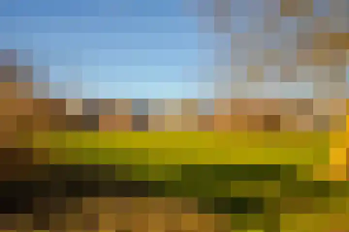 Korenbloem 65 Duiven thumbnail 36