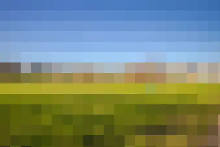 Korenbloem 65 Duiven thumbnail 37