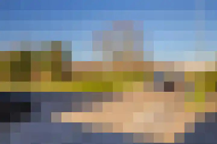 Korenbloem 65 Duiven thumbnail 38