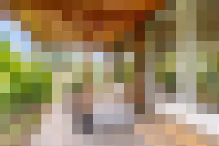 Korenbloem 65 Duiven thumbnail 48
