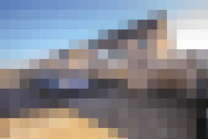 Korenbloem 65 Duiven thumbnail 5
