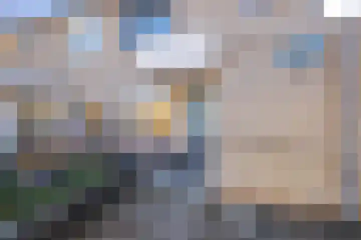 Korenbloem 65 Duiven thumbnail 6