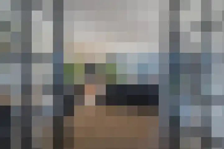 Korenbloem 65 Duiven thumbnail 9