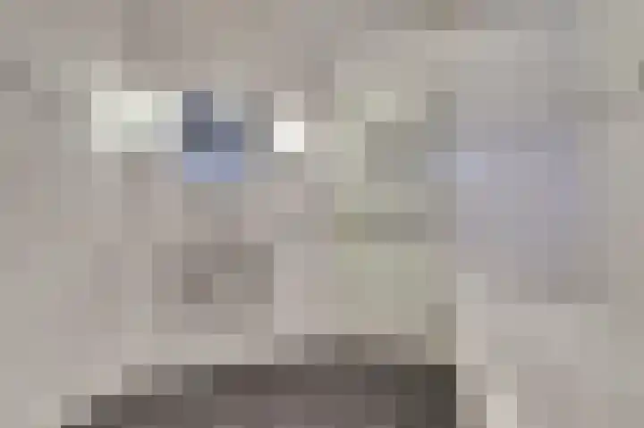 Korenbloem 7 Helden thumbnail 24