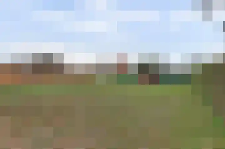Korenbloem 7 Helden thumbnail 32