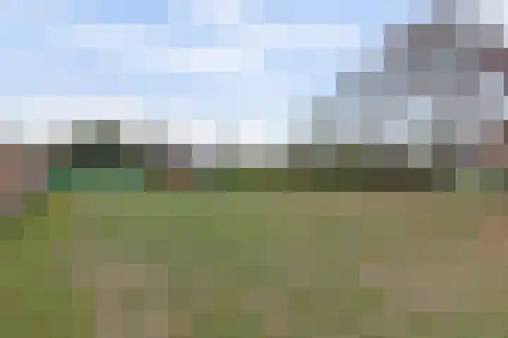 Korenbloem 7 Helden thumbnail 33