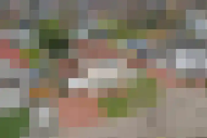 Korenbloem 7 Helden thumbnail 38