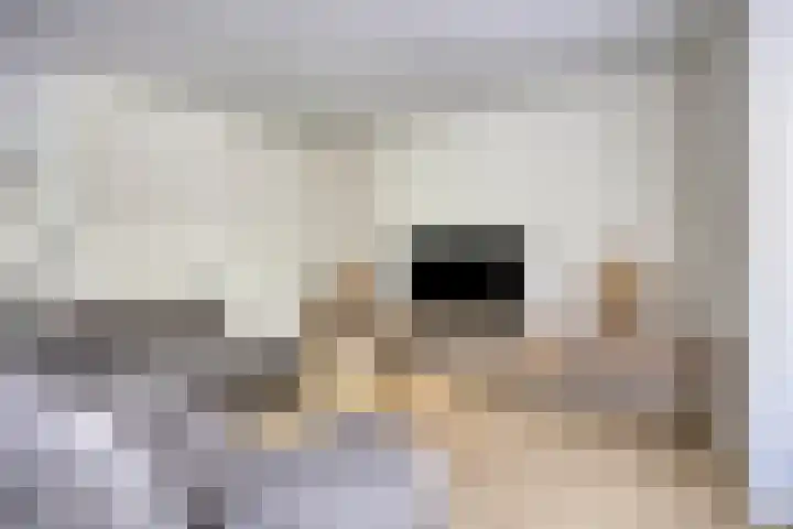 Korenbloemstraat 27 Enschede thumbnail 7