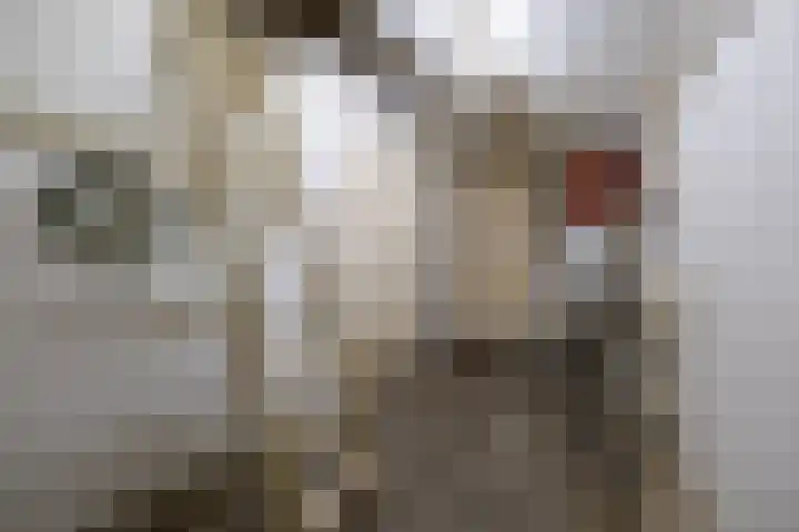 Korenbloemstraat 5 Vries thumbnail 14