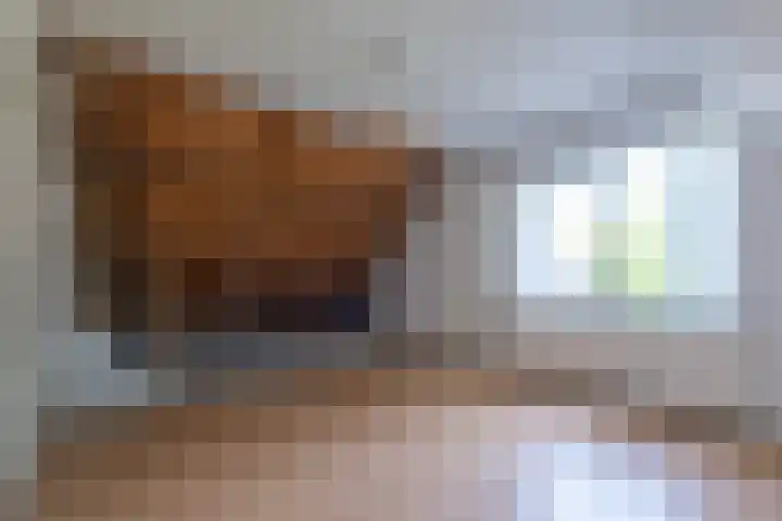 Korenbloemstraat 5 Vries thumbnail 25